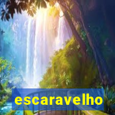 escaravelho significado espiritual